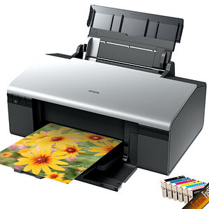 Epson R290 Printer Resetter.jpg